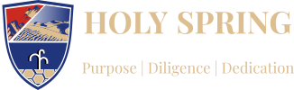 holyspring.in